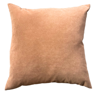 Bisque Cushion
